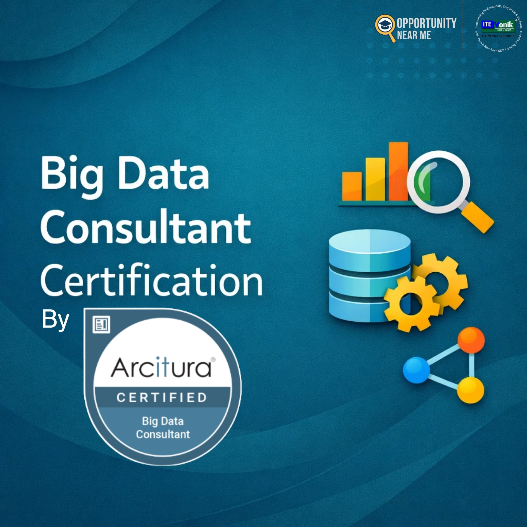 Big Data Consultant Certification