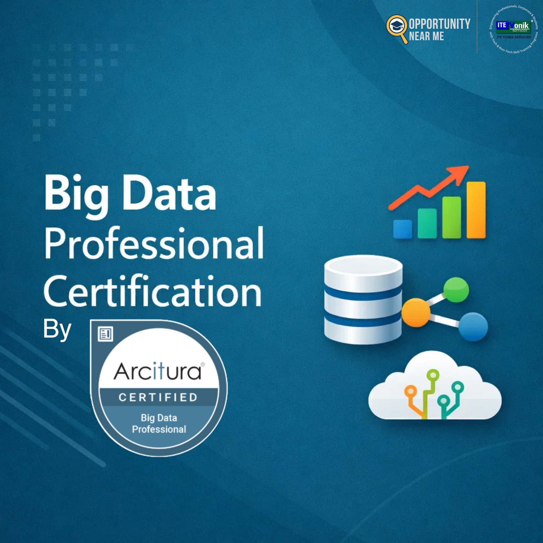 Big Data Professional Certification